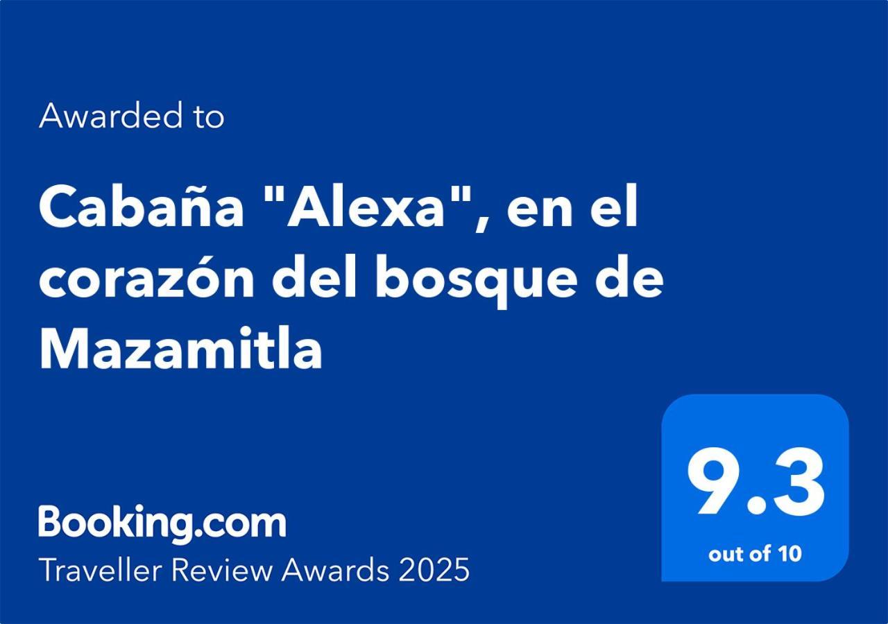 Cabana "Alexa", En El Corazon Del Bosque De Mazamitla Exterior photo